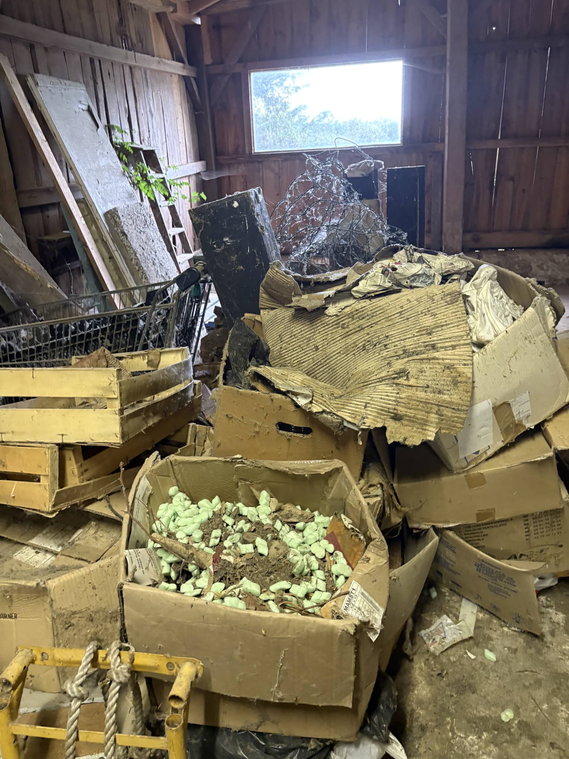 Intérieur de grange encombré, piles de cartons sales, caisses en bois, et détritus, avec une fenêtre lumineuse en arrière-plan.